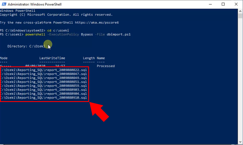 script execute sql queries