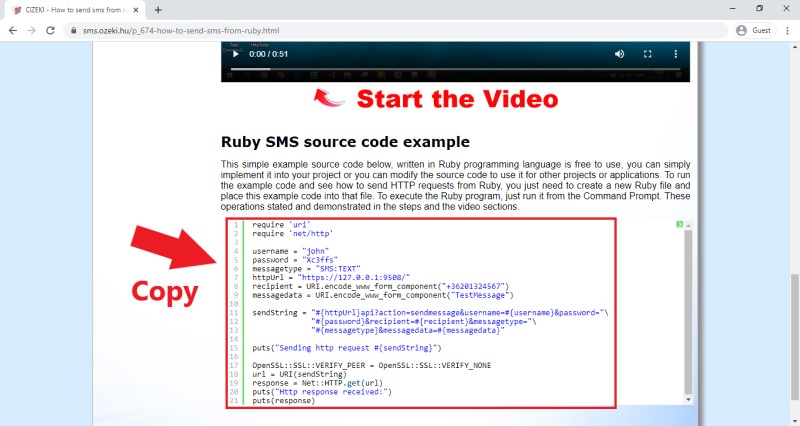 copy source code from the website