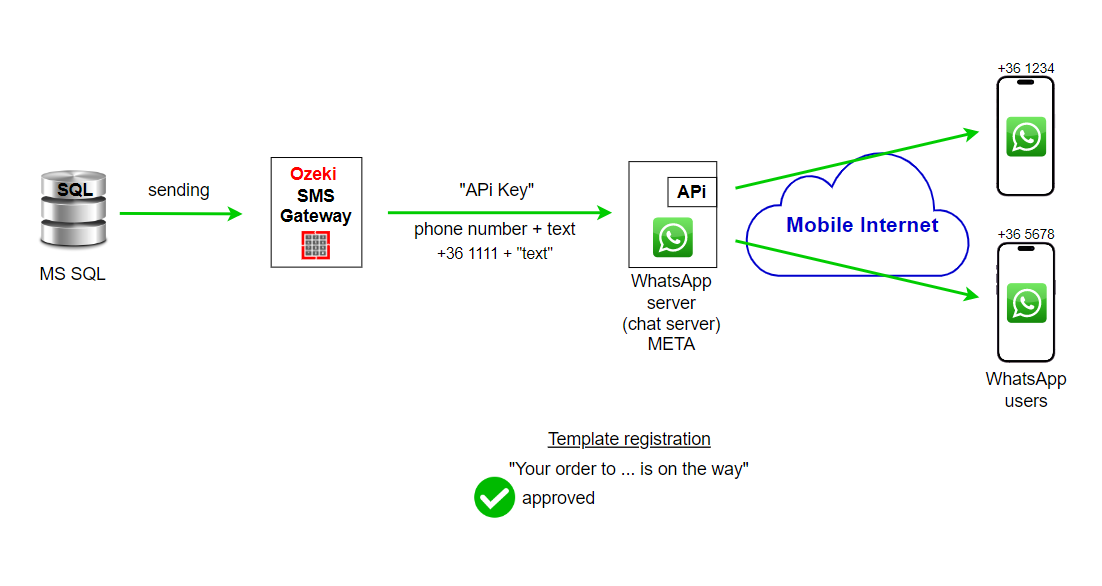 whatsapp connection